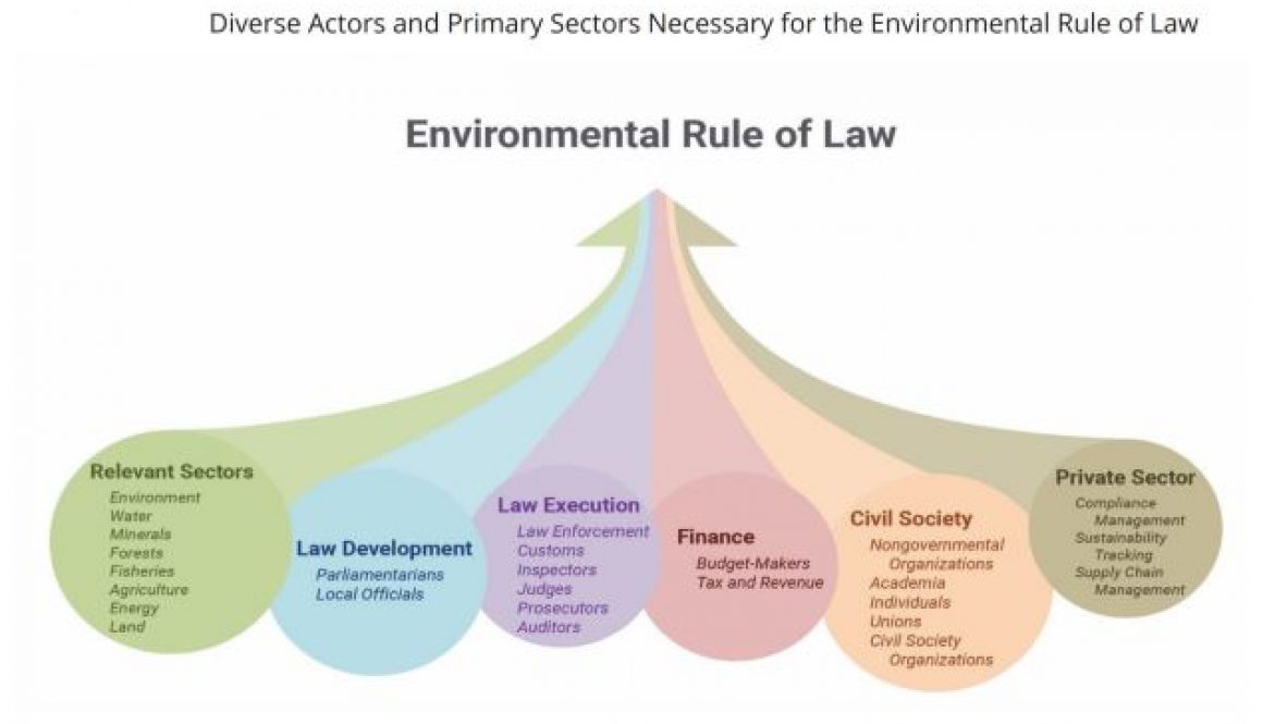 Environmental Rule of Law