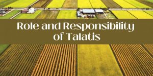 The Role of Talati in Revenue Administration