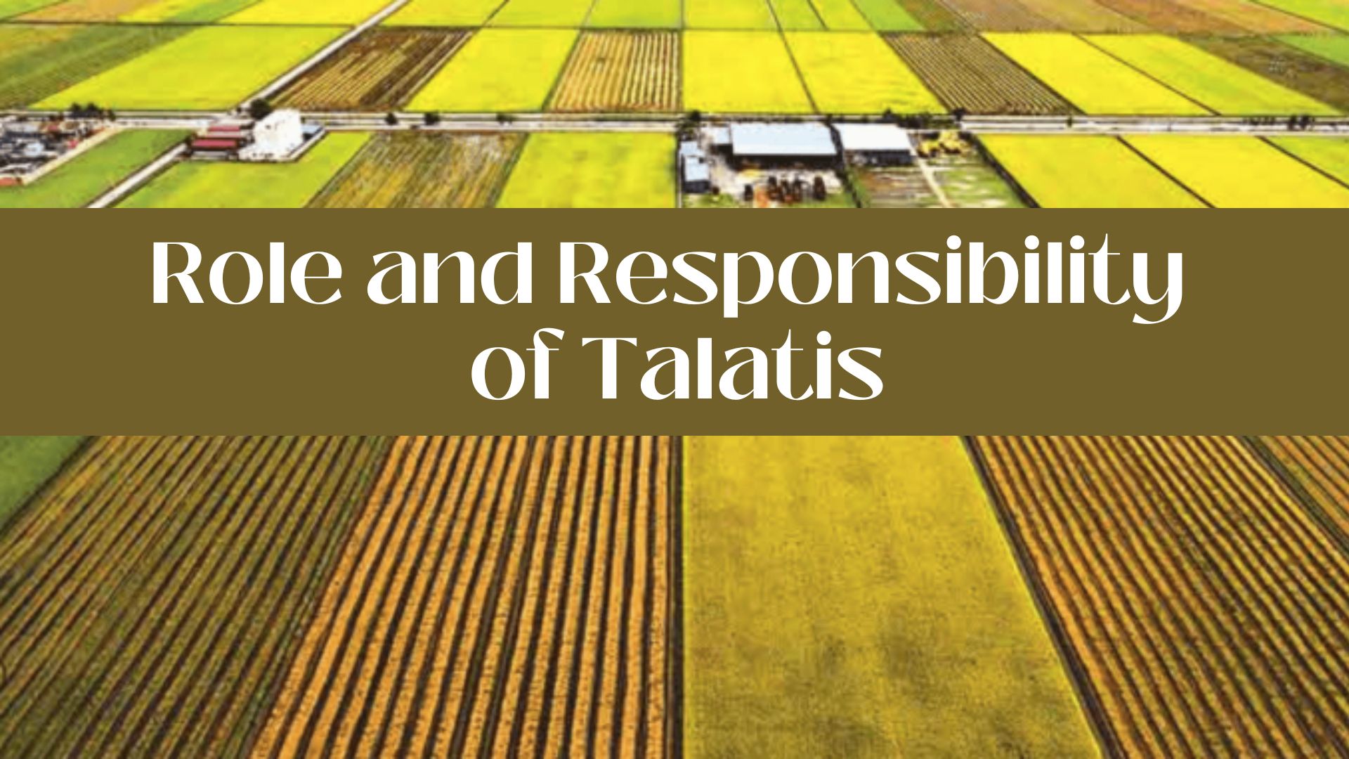 The Role of Talati in Revenue Administration