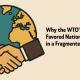 Why the WTO's Most Favored Nation Principle Is Failing in a Fragmented World